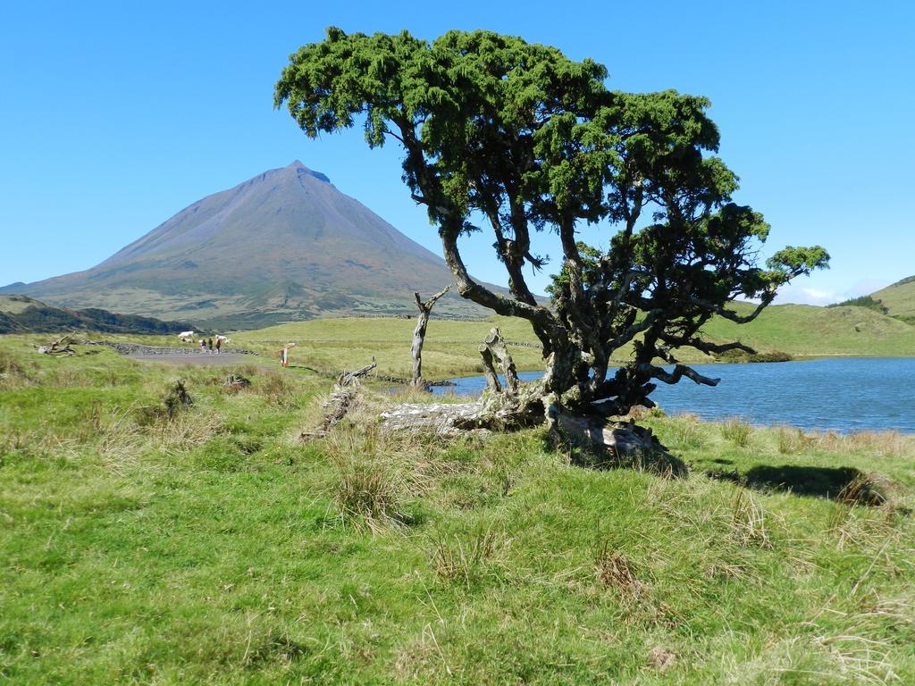 Adega Pedra Do Lagar Villa Calheta de Nesquim Luaran gambar
